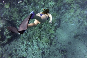 Plongée en snorkeling en Martinique